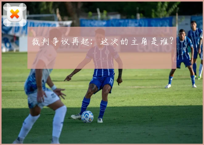裁判争议再起:这次的主角是谁?