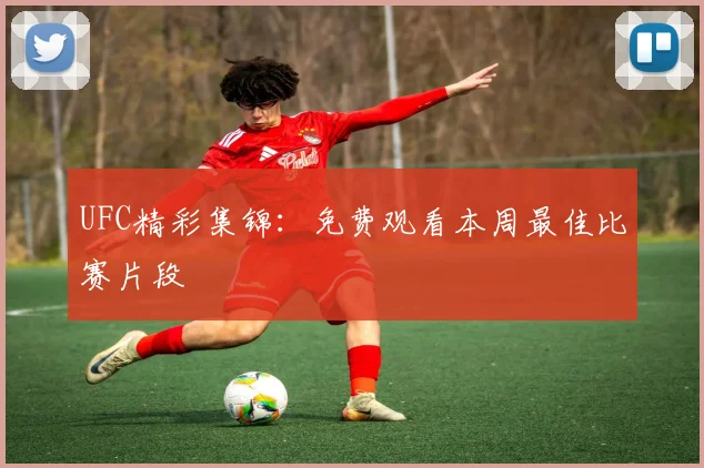 UFC精彩集锦：免费观看本周最佳比赛片段