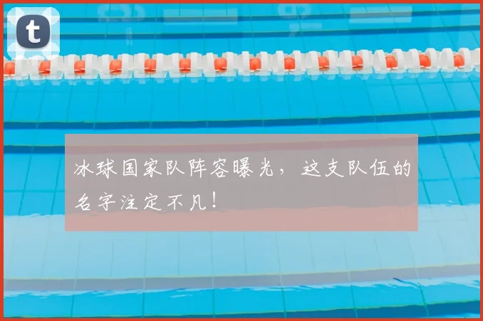 冰球国家队阵容曝光，这支队伍的名字注定不凡！