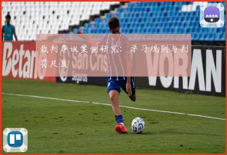 裁判争议案例研究：学习规则与判罚尺度