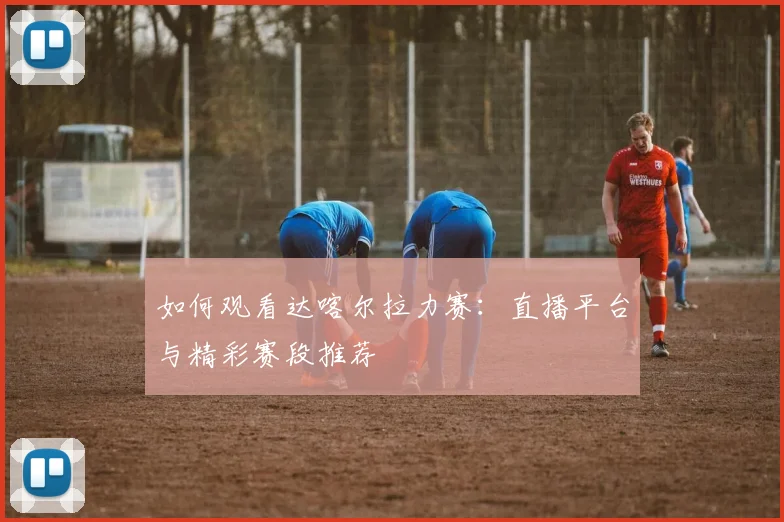 如何观看达喀尔拉力赛:直播平台与精彩赛段推荐