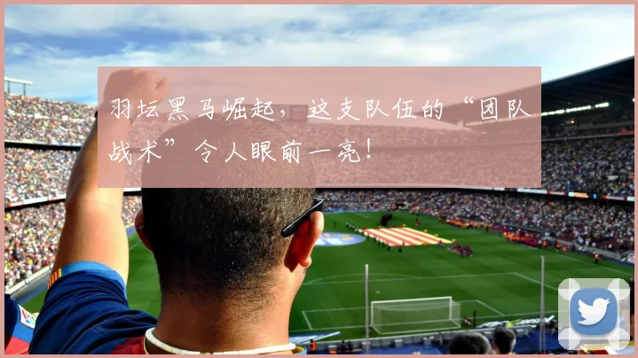 羽坛黑马崛起，这支队伍的“团队战术”令人眼前一亮！