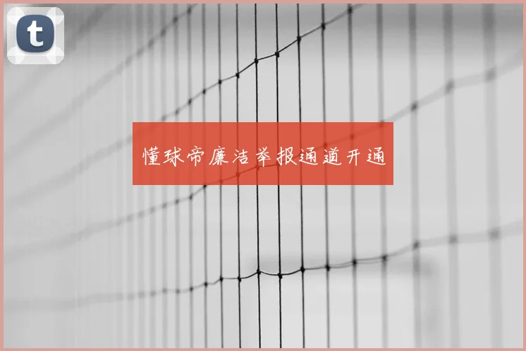 懂球帝廉洁举报通道开通