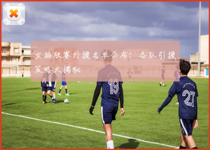女排联赛外援名单公布：各队引援策略大揭秘