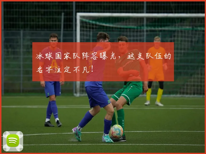 冰球国家队阵容曝光，这支队伍的名字注定不凡！